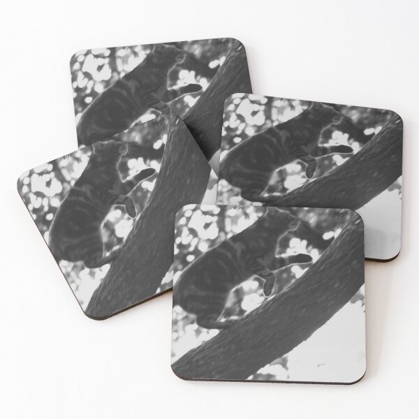 Item preview, cat climbing tree black and white designed and sold by Francespoppy.