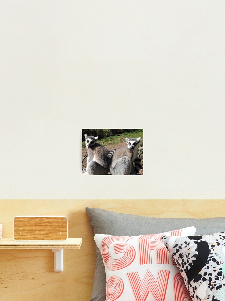 Thumbnail 2 of 3, Photographic Print, Two-Riffic  designed and sold by CreativeEm.