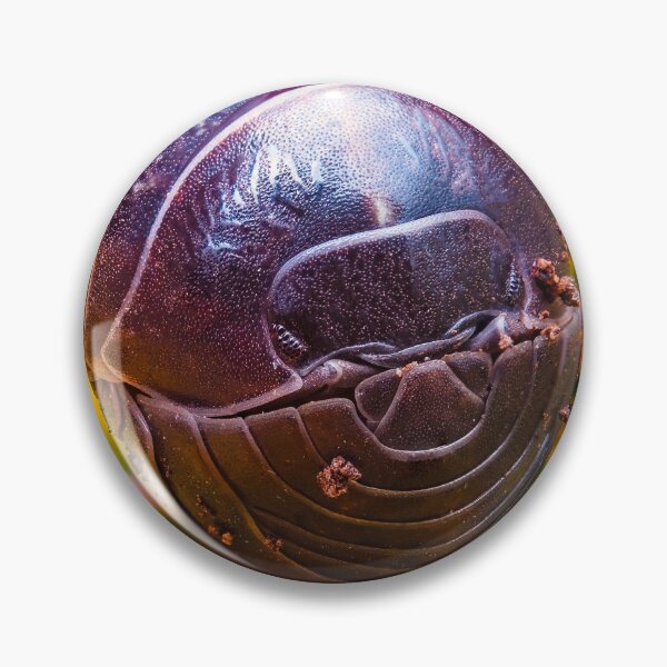 Item preview, Pill Bug - Armadillidiidae designed and sold by AronsTinySafari.