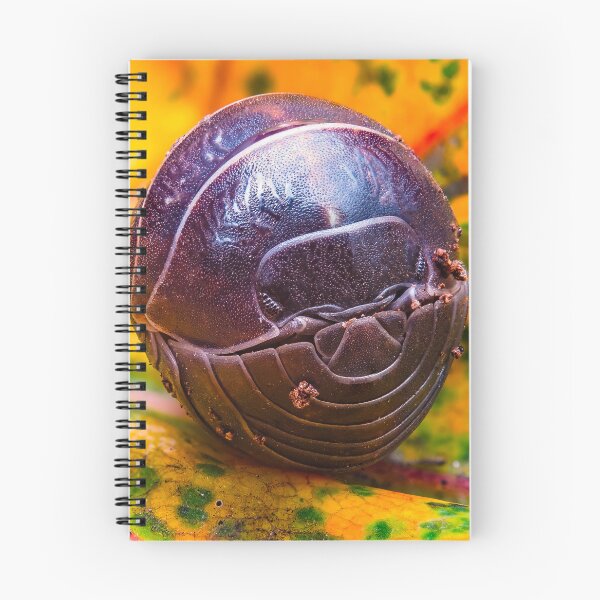 Item preview, Pill Bug - Armadillidiidae designed and sold by AronsTinySafari.