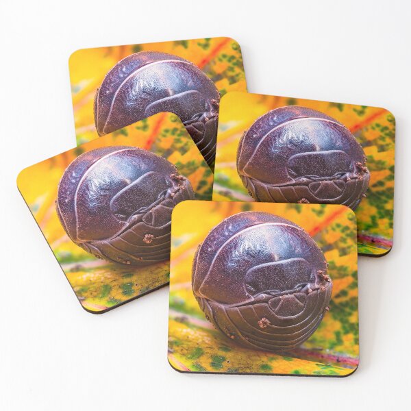 Item preview, Pill Bug - Armadillidiidae designed and sold by AronsTinySafari.