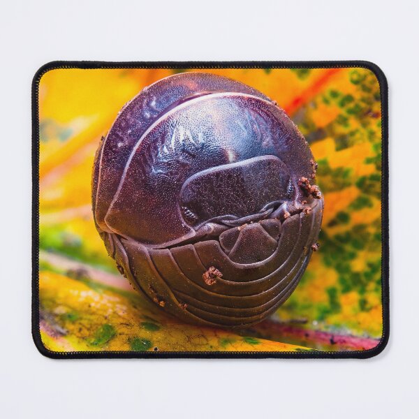Item preview, Pill Bug - Armadillidiidae designed and sold by AronsTinySafari.