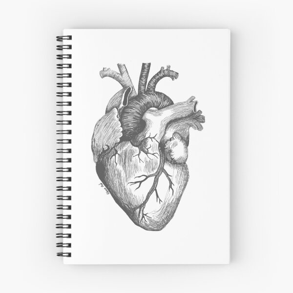 Item preview, Anatomical heart designed and sold by rebeccajoannemo.