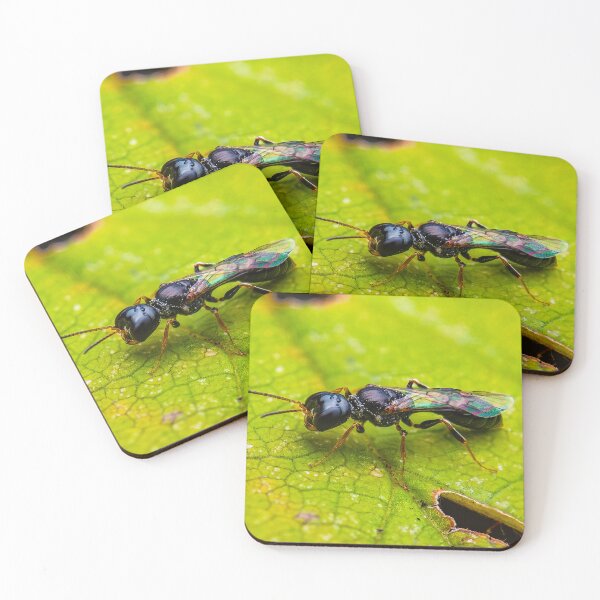 Item preview, Avispa de cabeza cuadrada - Crabronidae designed and sold by AronsTinySafari.