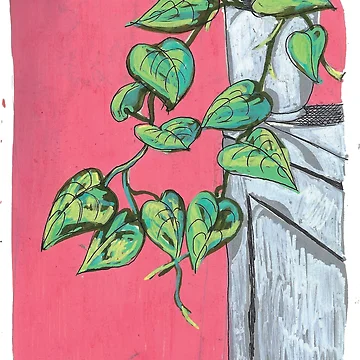 Artwork thumbnail, Pothos by Rookitty7