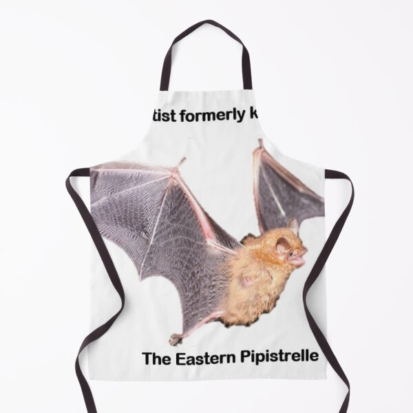 Item preview, Tricolor Bat designed and sold by Coley Optera.
