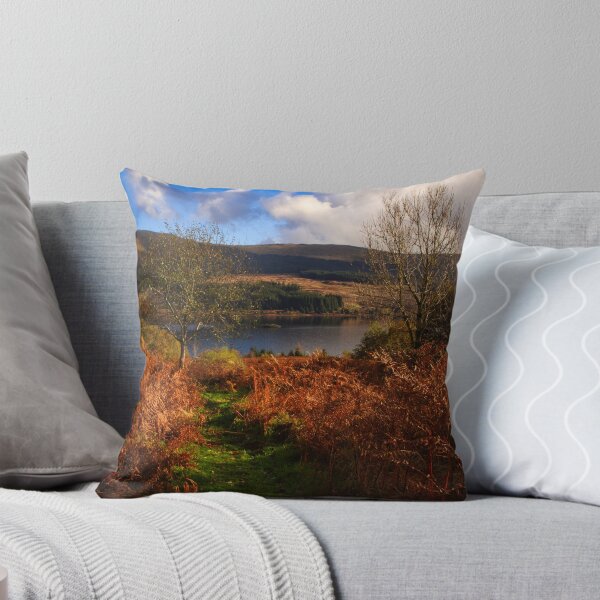 Item preview, View down to Loch Doon  designed and sold by Ann Biddlecombe.
