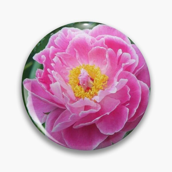 Artikelvorschau, ROSA GARTENPFINGSTENMUSTER TEAL GRÜN ART entworfen und verkauft von sharlesart.