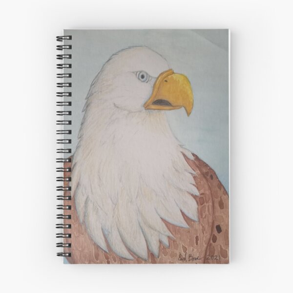 Item preview, Eagle Vision designed and sold by Ekco.