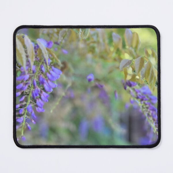 Item preview, Wistful Wisteria designed and sold by AllotmentCapers.