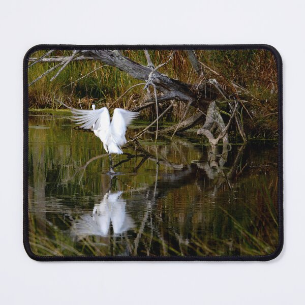 Item preview, Florida White Heron Take Off designed and sold by nbrandsberg.