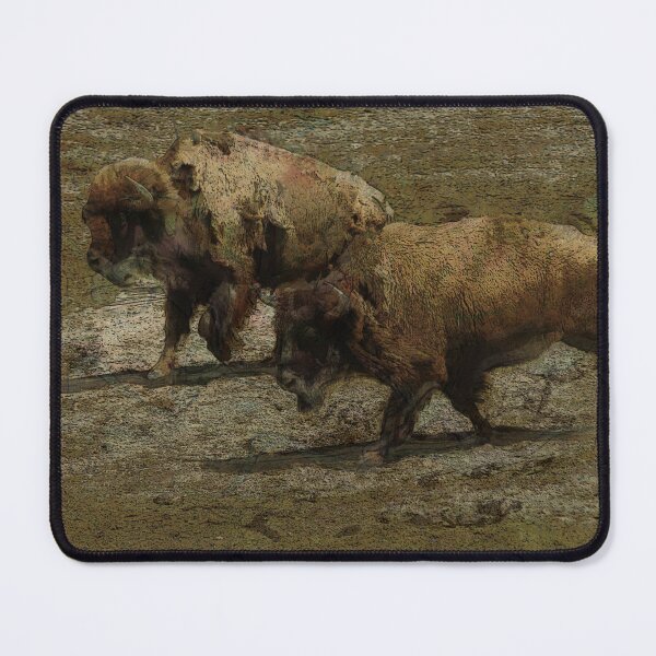 Item preview, Majestic Beasts - Plains Bison designed and sold by NaturePrints.