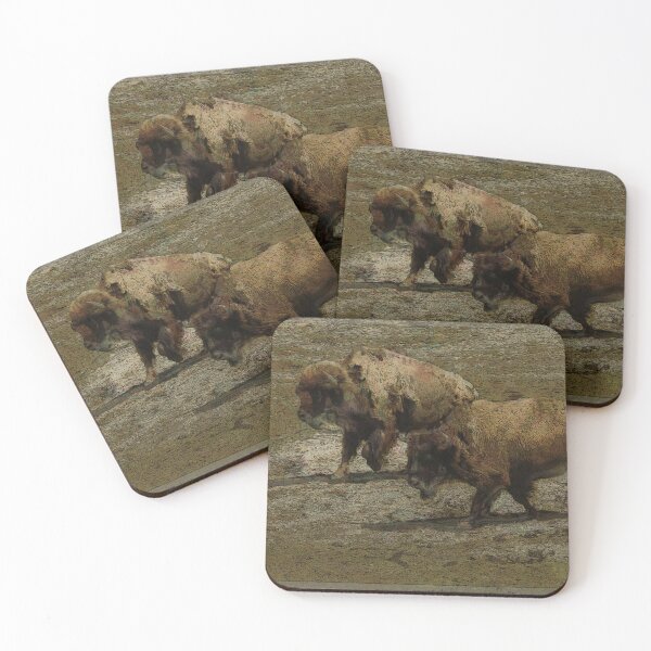 Item preview, Majestic Beasts - Plains Bison designed and sold by NaturePrints.