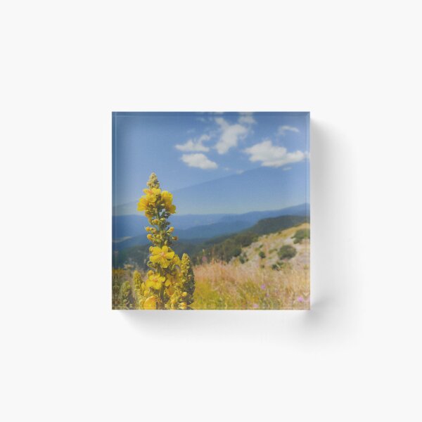 Item preview, Beautiful mountain landscape with yellow flower designed and sold by SunriseAndHoney.