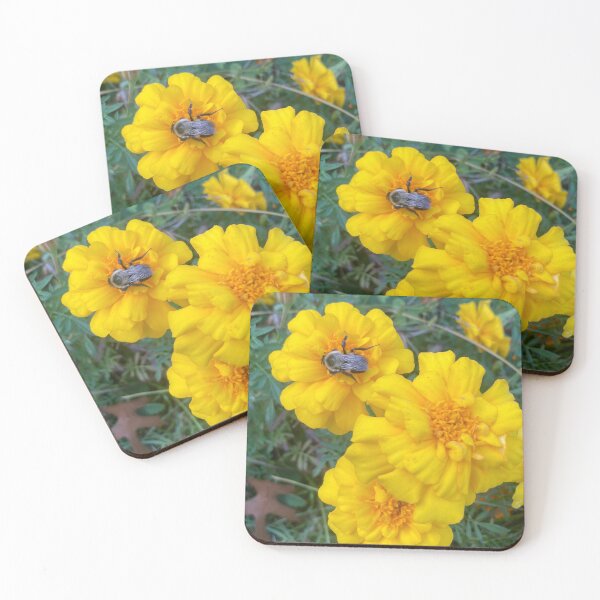 Item preview, Marigolds With Bumblebee  designed and sold by Amanda1775.