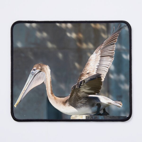 Item preview, Pelican Can't Get Up designed and sold by nbrandsberg.