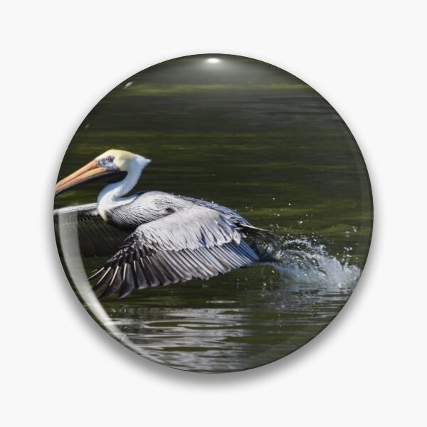 Item preview, Florida Pelican Coming in for a Landing designed and sold by nbrandsberg.