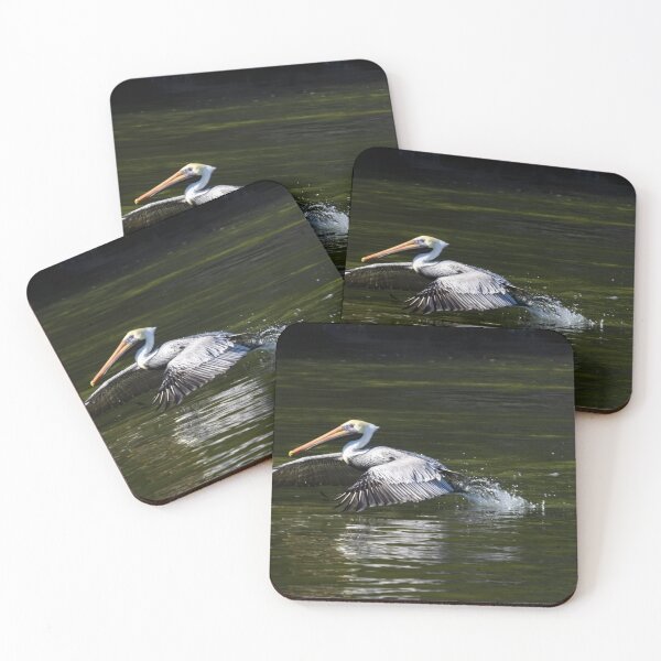 Item preview, Florida Pelican Coming in for a Landing designed and sold by nbrandsberg.