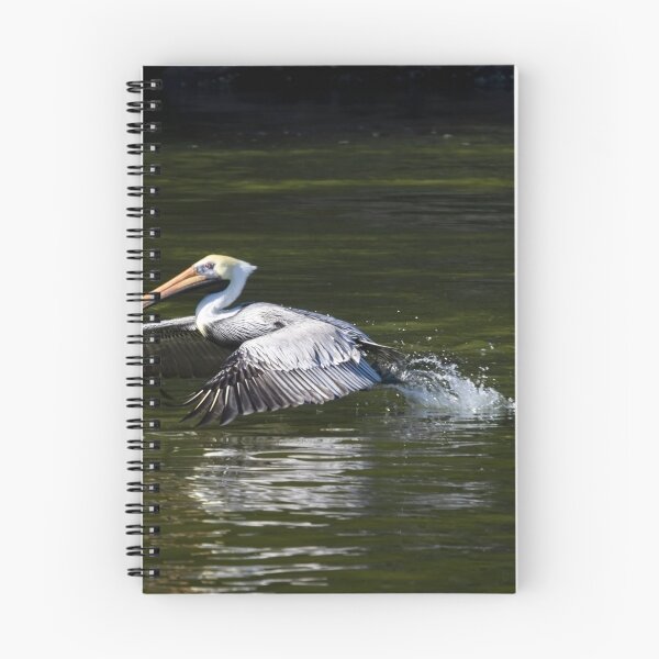 Item preview, Florida Pelican Coming in for a Landing designed and sold by nbrandsberg.