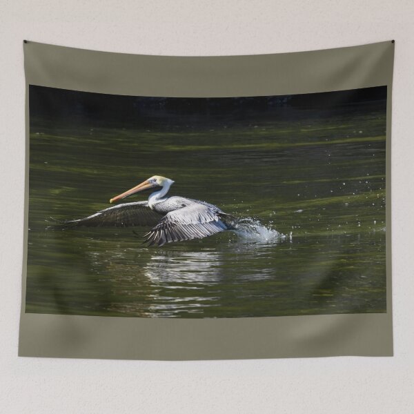 Item preview, Florida Pelican Coming in for a Landing designed and sold by nbrandsberg.
