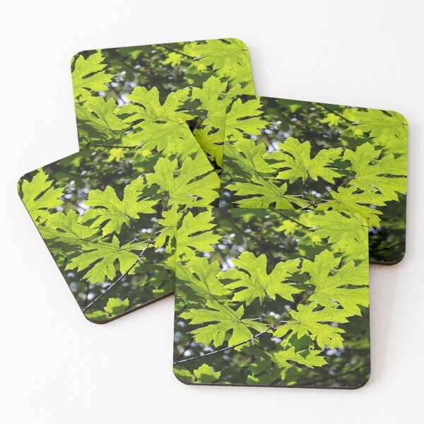 Item preview, Sun-Dappled Leaves in the Forest designed and sold by walkswithnature.