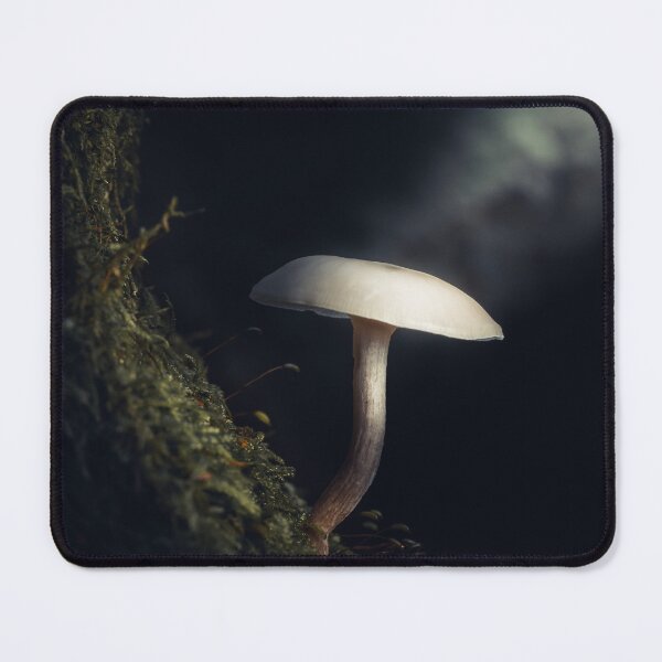 Item preview, Let the light shine the way designed and sold by Karrakunga.
