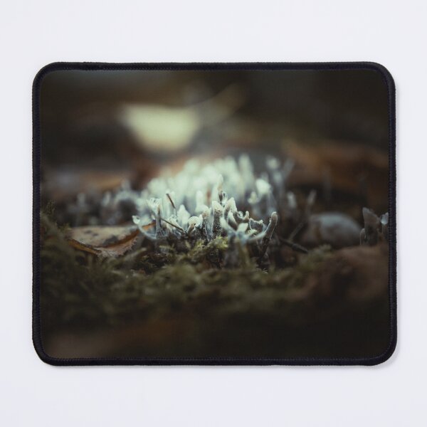 Item preview, Lighting up the candlesnuff designed and sold by Karrakunga.