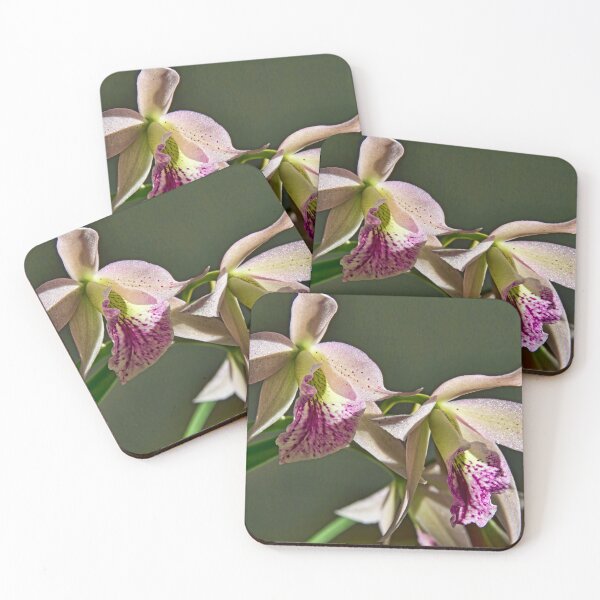 Item preview, Nodding Orchid designed and sold by alanathrower.