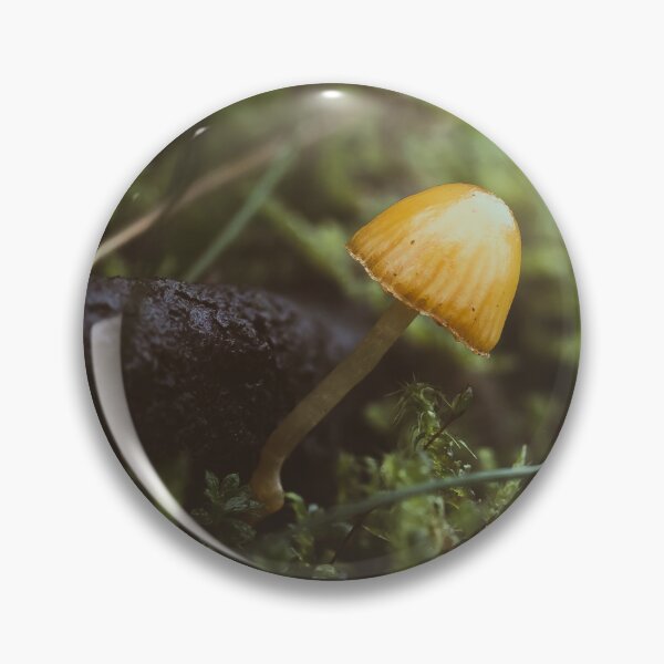 Item preview, Orange Delight designed and sold by Karrakunga.
