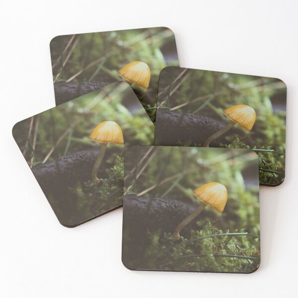 Item preview, Orange Delight designed and sold by Karrakunga.