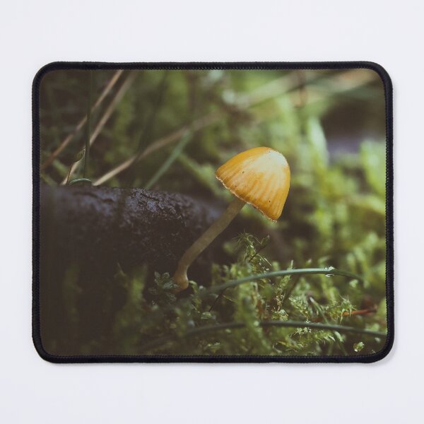 Item preview, Orange Delight designed and sold by Karrakunga.