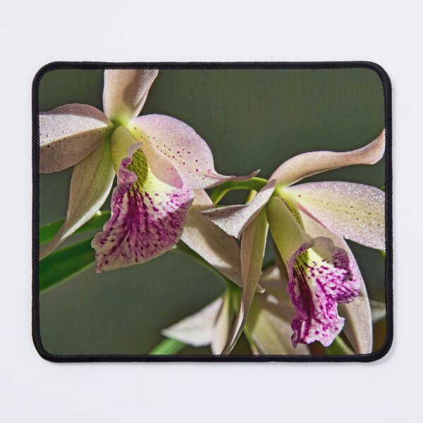 Item preview, Nodding Orchid designed and sold by alanathrower.