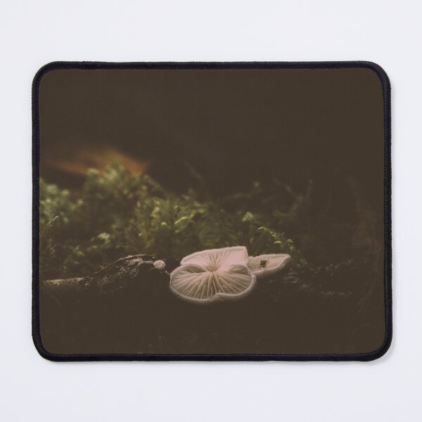 Item preview, Porcelain in the forest designed and sold by Karrakunga.