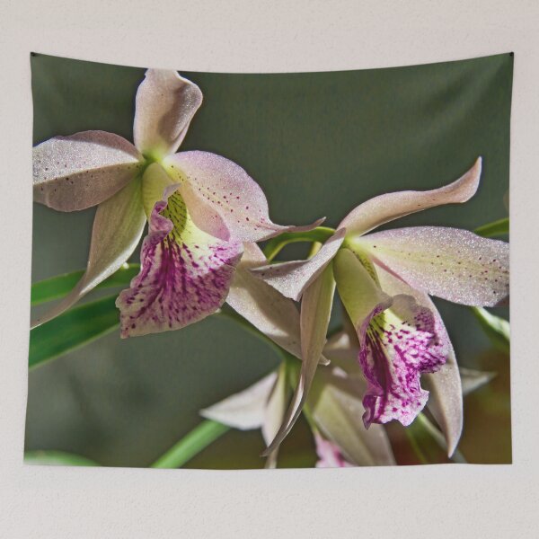 Item preview, Nodding Orchid designed and sold by alanathrower.