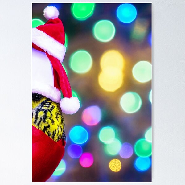 Item preview, Shy Christmas Birdie designed and sold by VMPrinting.