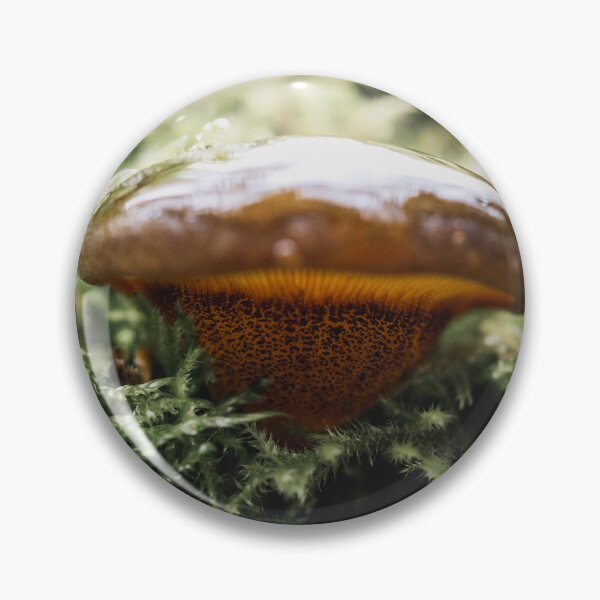 Item preview, Slimy Boletus designed and sold by Karrakunga.