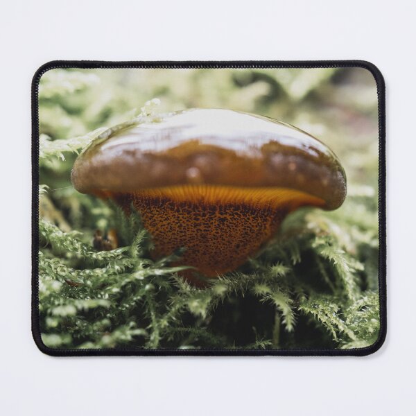 Item preview, Slimy Boletus designed and sold by Karrakunga.