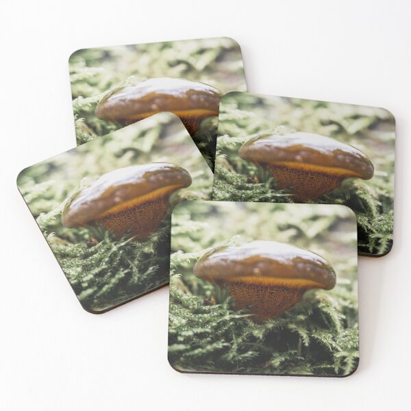 Item preview, Slimy Boletus designed and sold by Karrakunga.