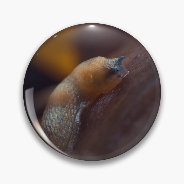 Item preview, Slithering Autumn Slug designed and sold by Karrakunga.