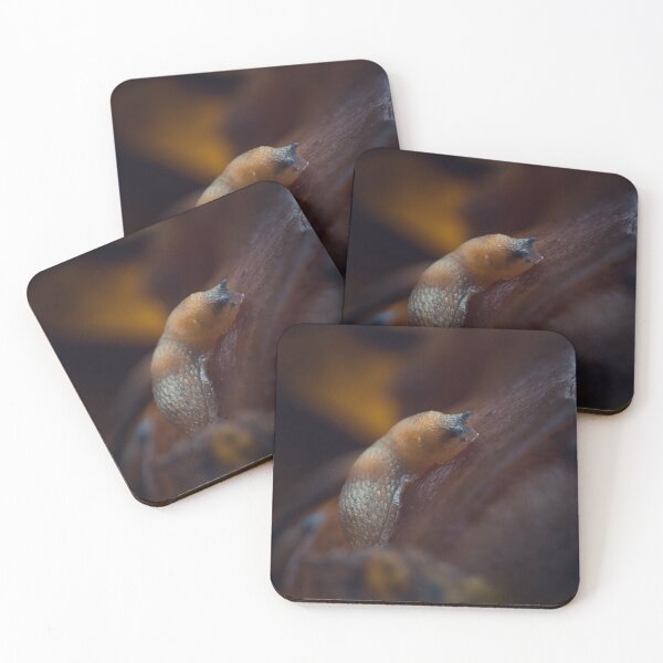 Item preview, Slithering Autumn Slug designed and sold by Karrakunga.