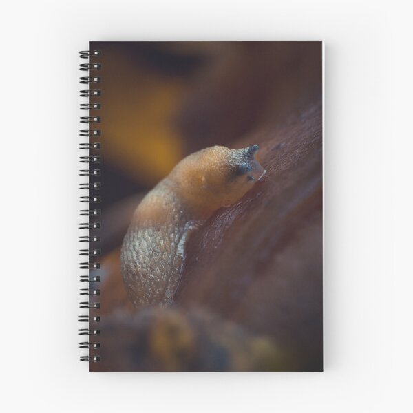 Item preview, Slithering Autumn Slug designed and sold by Karrakunga.