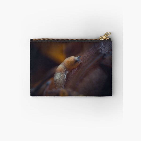 Item preview, Slithering Autumn Slug designed and sold by Karrakunga.