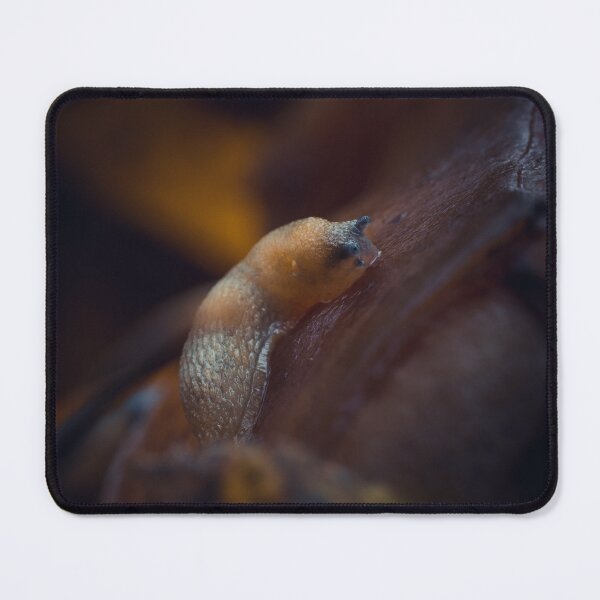 Item preview, Slithering Autumn Slug designed and sold by Karrakunga.