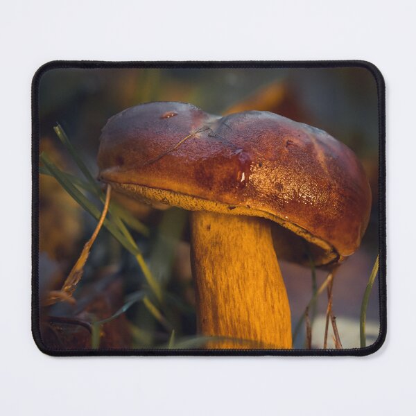 Item preview, Standing Firm designed and sold by Karrakunga.