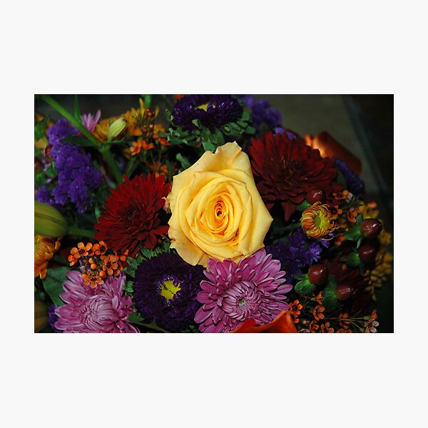 Yelllow Rose Photographic Print