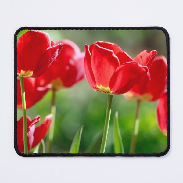 Item preview, Red tulips on nature background designed and sold by olena2552.