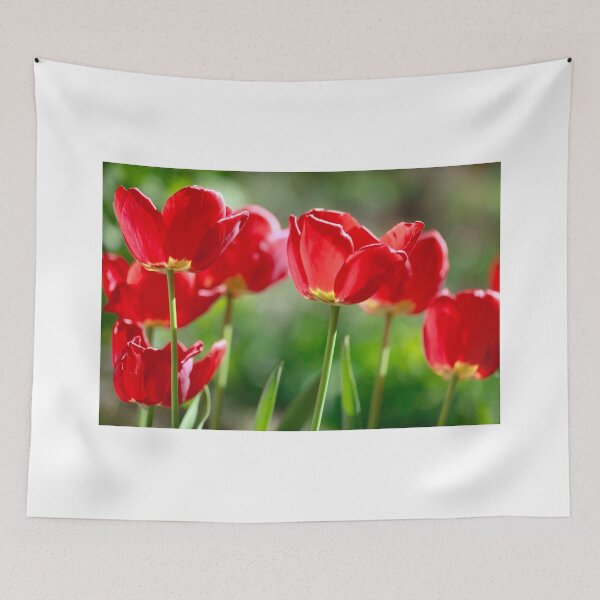 Item preview, Red tulips on nature background designed and sold by olena2552.