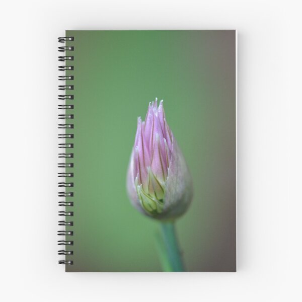 Item preview, A chive flower on its way to find the sun designed and sold by Nicole W..