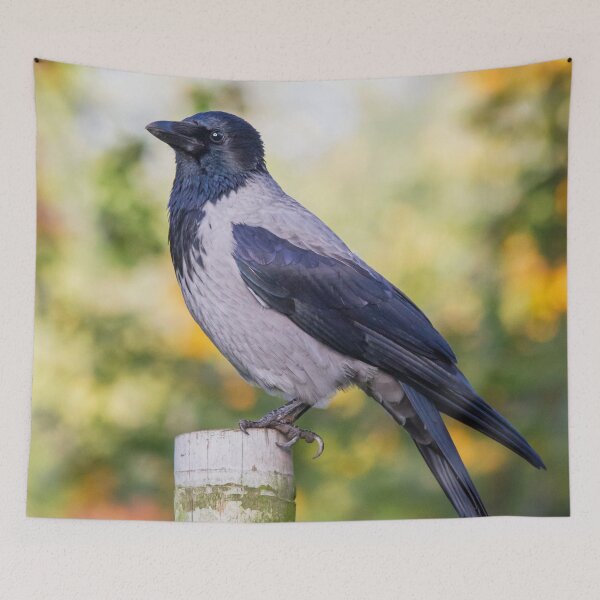 Item preview, Hooded Crow designed and sold by Dominika Aniola.
