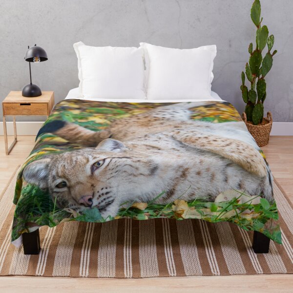 Item preview, Playful Lynx designed and sold by Dominika Aniola.